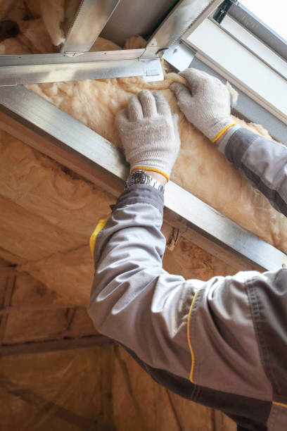 Best Specialty Insulation in Appomattox, VA